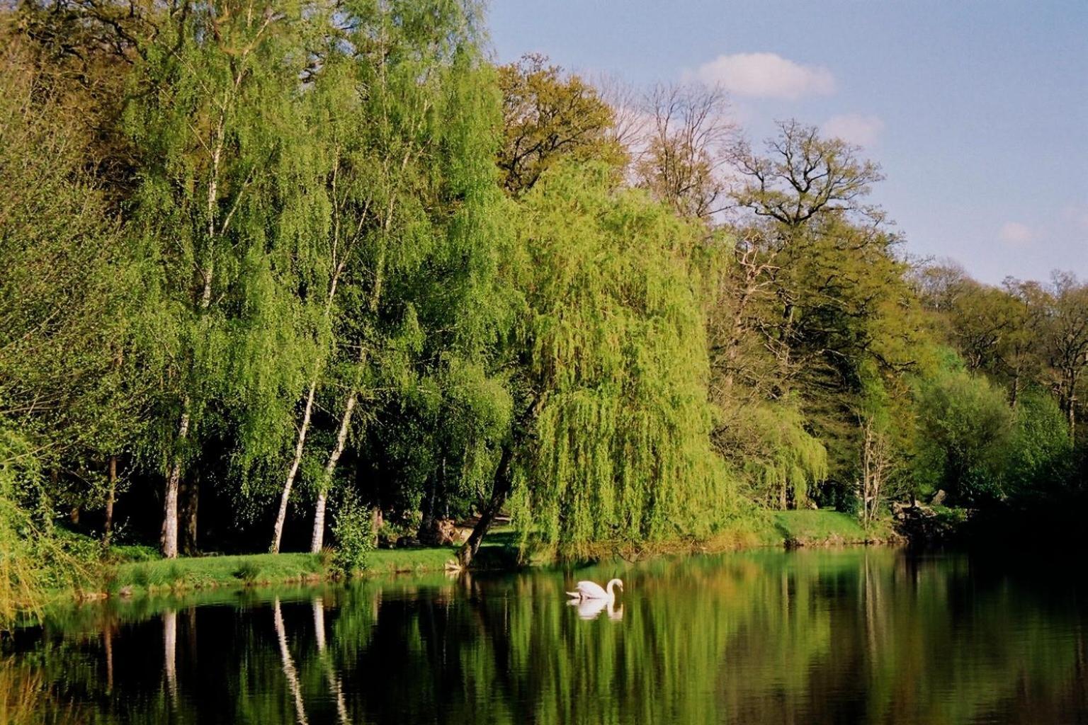 Cit'Hotel Le Relais Du Boisniard Chambretaud Kültér fotó